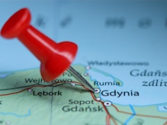 Gdynia ma 17 pomysłów na to, jak pozbyć się dzików. Nie, nie chce do nich strzelać