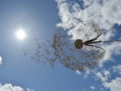 Ciepła sobota w Łódzkiem. Ciepła i wietrzna