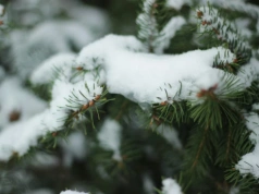 Śnieg w weekend. IMGW ostrzega przed nagłym załamaniem pogody