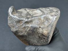 Nowy meteoryt żelazny w Polsce