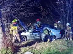 Jeleń na drodze, Volvo w rowie. DK-58 zablokowana!