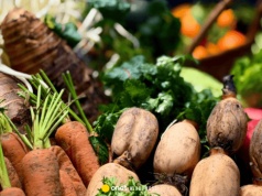 30 ton warzyw za darmo dla Krakowian. Akcja „Chodźże żywo po warzywo” w duchu zero waste