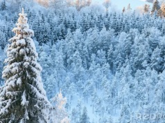 WSZAK i KLOC. Odcinek: „Powrót z Sybiru”