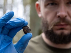 Niemcy próbowali zatrzeć ślady zbrodni. IPN odkrył masowe mogiły. Dr Kobiałka na tropie