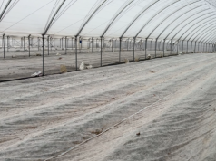 Nie pal zużytej agrowłókniny. Kary mogą być bardzo dotkliwe!