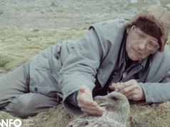 „Niewyraźny klekot ptaków” w koziańskiej bibliotece