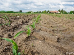 Siła wyższa ARiMR 2026: zgłosisz i zachowasz dopłaty