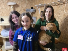 Zwierząt w schronisku coraz mniej, ale zostają na dłużej