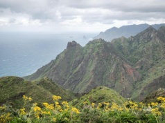 Kanaryjski projekt CanBio: przełomowe odkrycia i nadzieja dla zagrożonych gatunków
