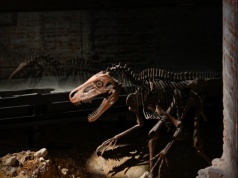 Smok wraca pod Wawel. Smocza Jama z nową trasą i efektami otwarta