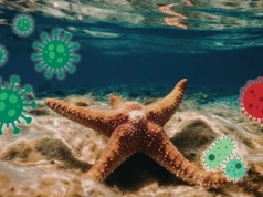 Wyglądają zdrowo, a umierają. Odkryli mechanizm podmorskiej makabry