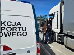 Obezwładnienie i kajdanki po znieważeniu patrolu ITD – co mówią o tym przepisy?