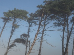 Ostrzeżenia II stopnia w tych regionach. Jest pilny alert RCB