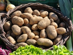 30 ton warzyw zamiast do kosza trafi do mieszkańców. Kraków rusza z dużą akcją zero waste