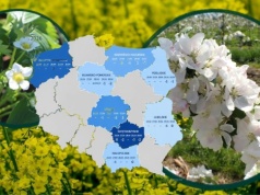 Suchy mróz zagrozi uprawom. Rolnicy mogą stracić plony