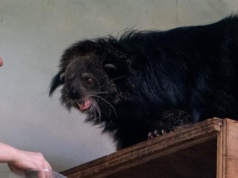 Pracownik łódzkiego ZOO poszukiwany. Potrzebny opiekun egzotycznych zwierząt