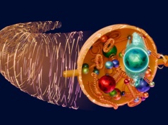 Koniec 16-letniej zagadki rozmiaru protonu. Wyniki, które zmieniają podręczniki