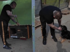 Popek zamiata kojce dla psów w schronisku