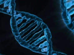 Czy płodność mamy zapisaną w DNA? Geny mogą skracać drogę do rodzicielstwa