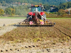 Tyle zarabia operator ciągnika w żniwa. Stawki w 2026 zaskakują