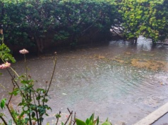 Konflikt z sąsiadem o zalaną działkę. Przyjdzie gmina i nakaże rozbiórkę