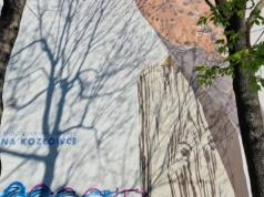 Ptasie murale na Kozłówku zniszczone (Galeria)