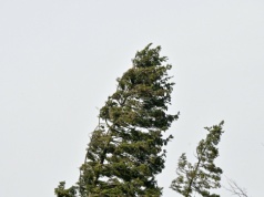 IMGW wydał alerty I i II stopnia dla 13 województw