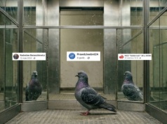 Odkryliśmy kto podszywa się pod BRD24 w sieci