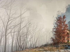 Wiele atrakcji na „Babskim Targu Kielczanka”