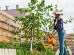 Od lat stosuje w moim ogrodzie. Rośliny rosną jak na drożdżach