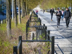 Koniec z wydeptanymi rabatami. Zieleń w Alejach zyskała ochronę