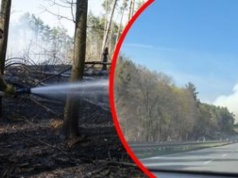 Pożar lasu pod Bydgoszczą. Dym zasłania S10