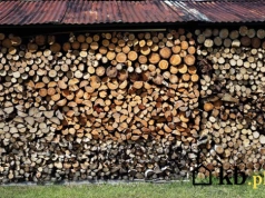 Układasz drewno w ten sposób? Po roku straci nawet 40% wartości opałowej