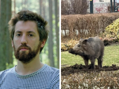 Wildstein nie wytrzymał. „Gdzie jesteście, gdy naprawdę dzieje się zło?”