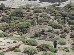 Nielegalne imprezy w wąwozie Balos. Gwardia Cywilna przerwała rave