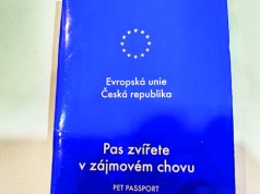 Nowe przepisy dla podróżujących ze zwierzakiem