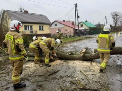 Silny wiatr w regionie. IMGW ostrzega przed porywami do 85 km/h
