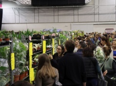 Festiwal Roślin w Krakowie. Ogromny wybór i darmowy wstęp