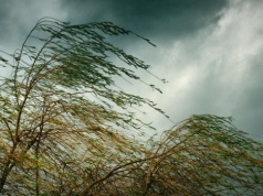 Silny wiatr i opady – to może być trudna noc w regionie