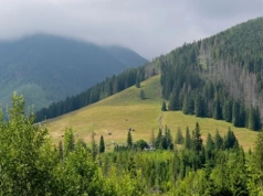 Polacy wybrali swój ulubiony kawałek przyrody. Oto zwycięzca