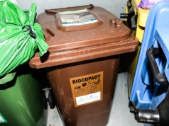 Naklejka prawdy na pojemniku. Nie zabiorą twoich śmieci i doliczą 47 zł kary od osoby