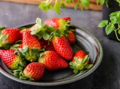 Truskawki 2026. Plon nie wystarczy, liczy się termin i jakość