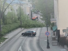 Drzewo runęło na ulicę w centrum Lublina. Przejazd jest całkowicie zablokowany