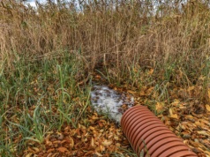Hałas, zapach, dym od sąsiada. Zobacz, czym są immisje i jak je udowodnić