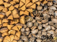 Trzymasz drewno na zapas? Po tylu latach traci kaloryczność i szkodzi