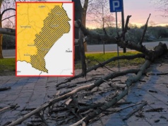 Silny wiatr w województwie lubelskim. Porywy mogą nadal osiągać ponad 80 km/h