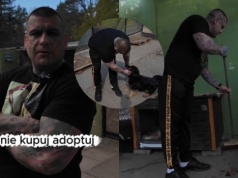 Popek wziął się za działalność charytatywną, pomaga w schronisku i poleca psy do adopcji 