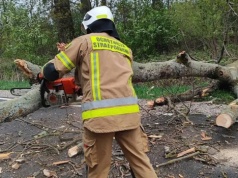 Drzewo powalone wichurą spadło na jadący samochód. Ranny kierowca trafił do szpitala