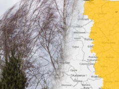 Silny wiatr nad Polską. IMGW wydał alerty, na liście dziewięć województw