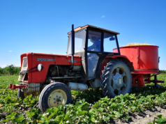 Ciągnik bez OC? Po 14 dniach zapłacisz wysoką karę. System sam to wykryje